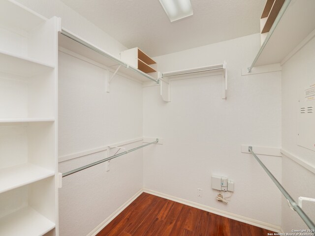 spacious closet with dark wood finished floors