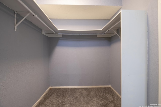 walk in closet with carpet