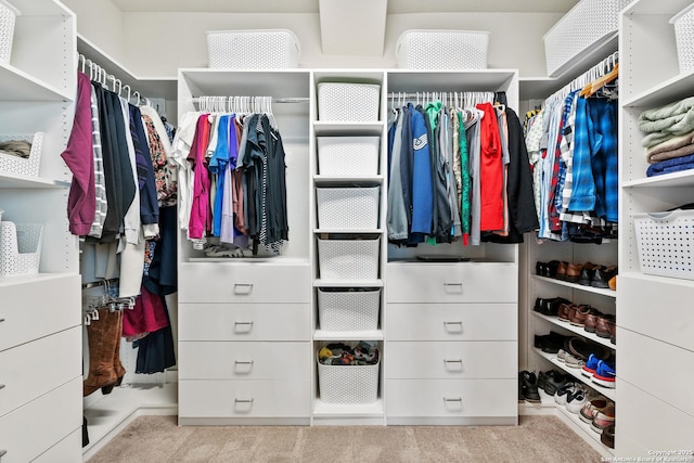 walk in closet featuring carpet flooring