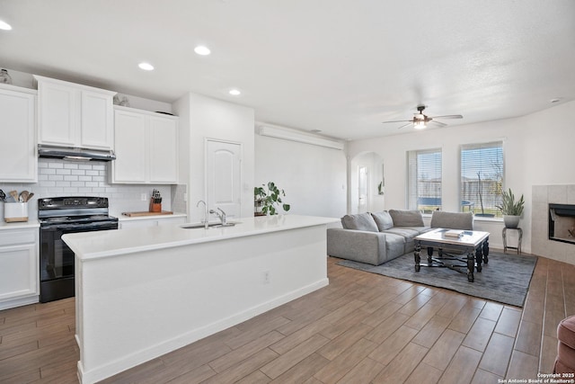 kitchen featuring tasteful backsplash, under cabinet range hood, light wood-style floors, black electric range, and a sink