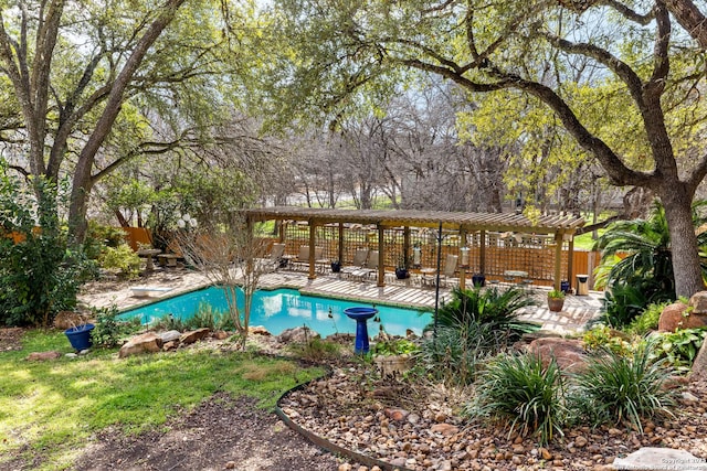 view of swimming pool featuring a diving board and a pergola