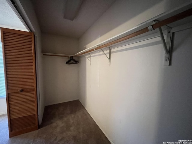 walk in closet with dark colored carpet