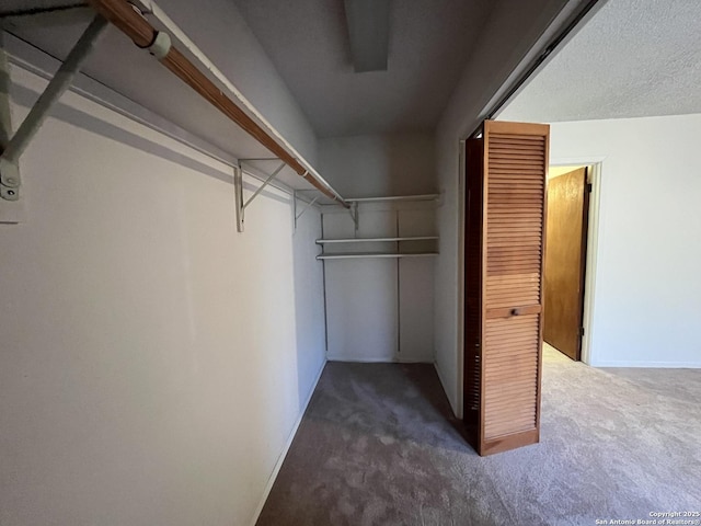 walk in closet with dark carpet