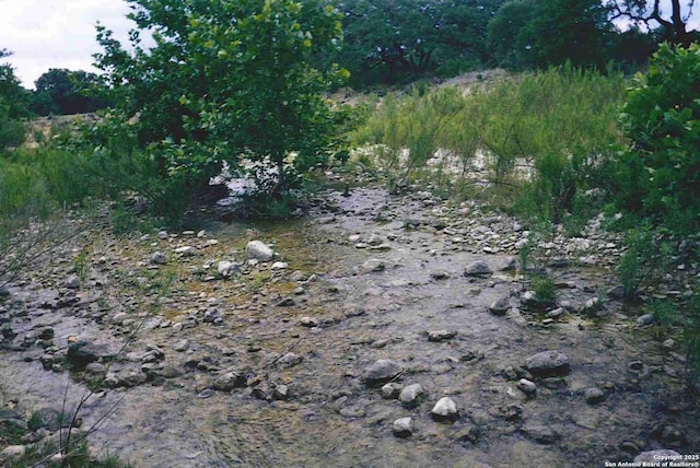 view of nature featuring a view of trees