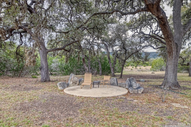 view of yard with a patio area