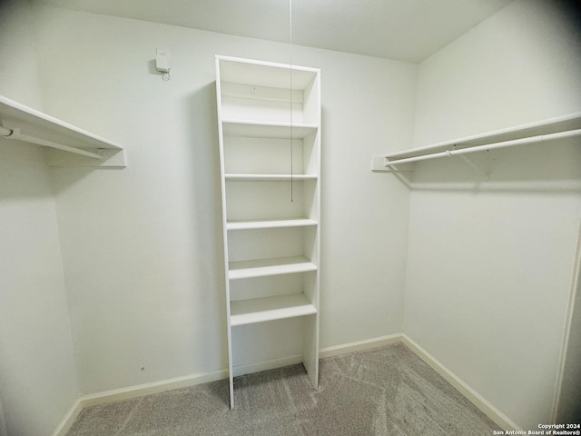 walk in closet featuring carpet floors and attic access