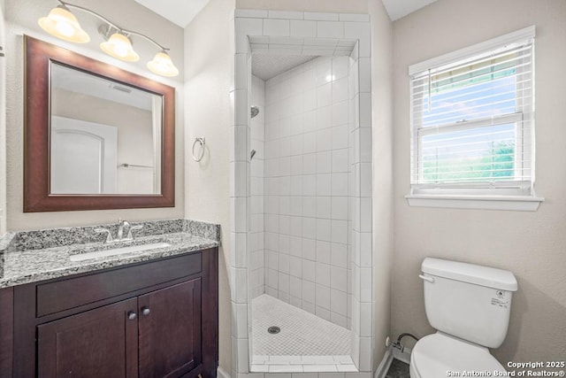 bathroom with toilet, a shower stall, and vanity