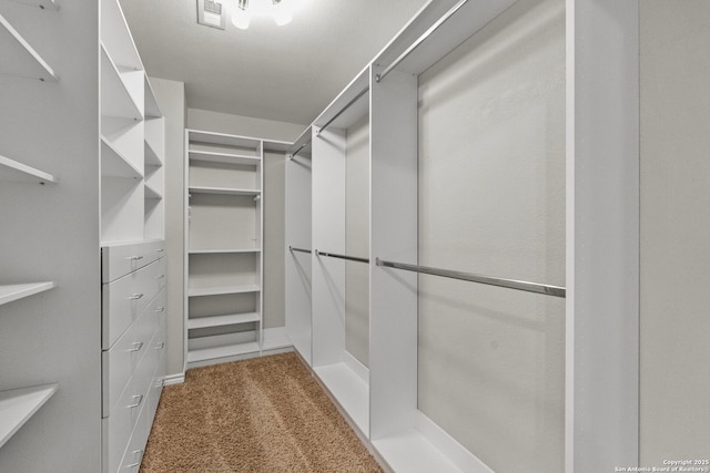 spacious closet featuring visible vents and carpet flooring