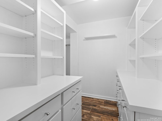 walk in closet featuring dark wood finished floors