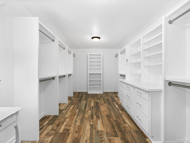 spacious closet featuring dark wood finished floors