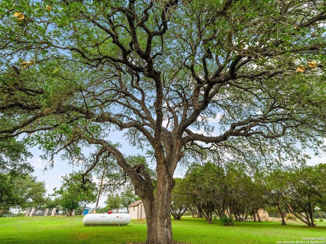 view of community with a yard