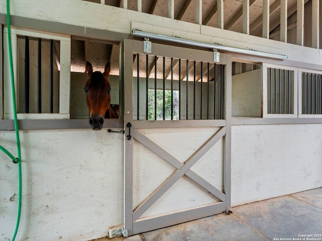 view of horse barn