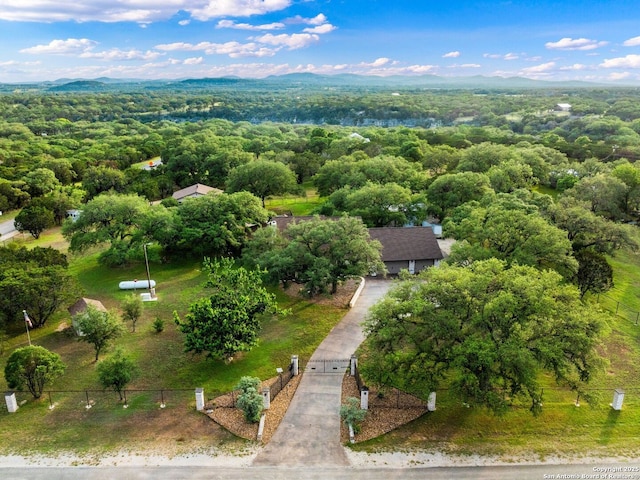 bird's eye view