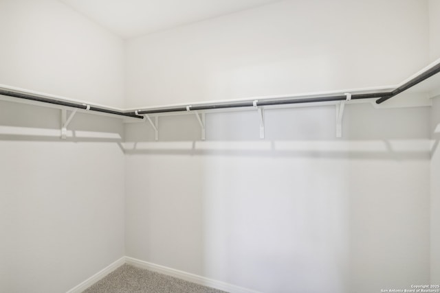 walk in closet with carpet