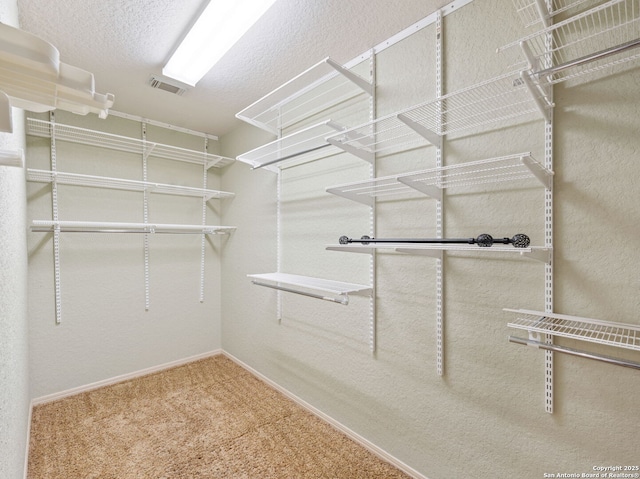 walk in closet featuring carpet and visible vents