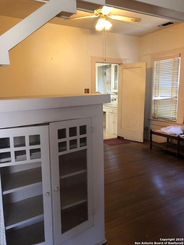 details featuring a ceiling fan, visible vents, and wood finished floors