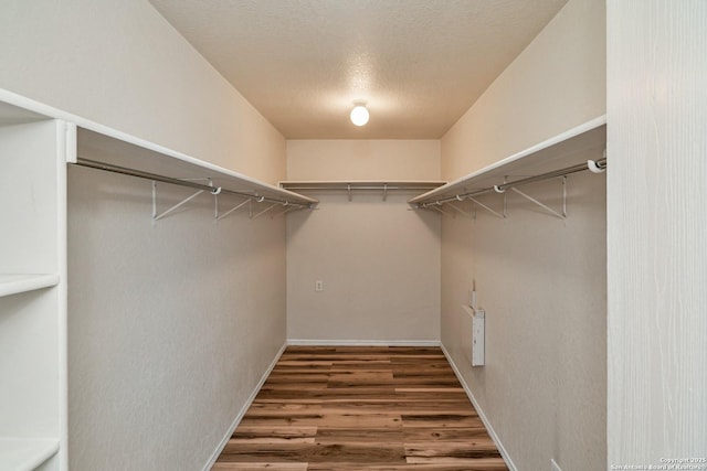 spacious closet featuring wood finished floors