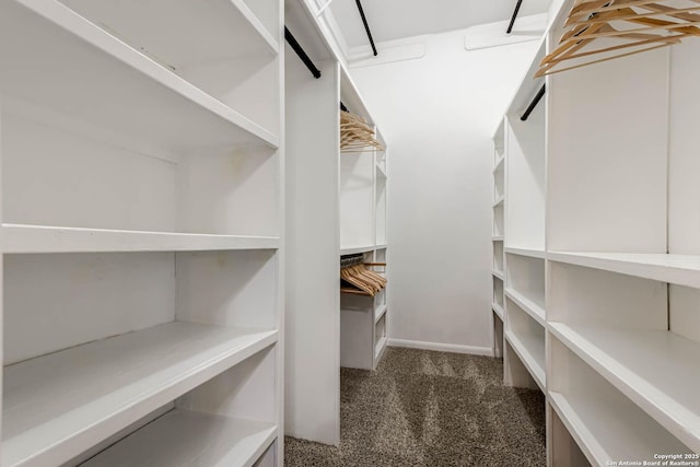 walk in closet with dark carpet