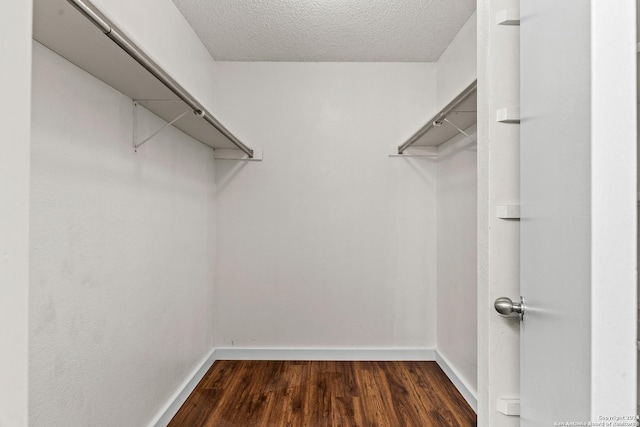 walk in closet with dark wood-type flooring