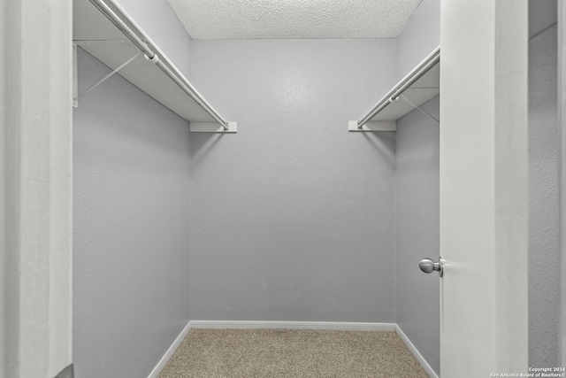 spacious closet with carpet flooring