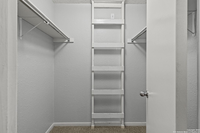 walk in closet with carpet flooring