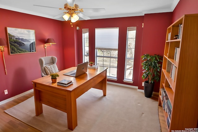 office space with light wood-type flooring, crown molding, baseboards, and a ceiling fan