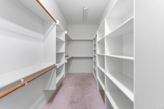 spacious closet featuring light colored carpet