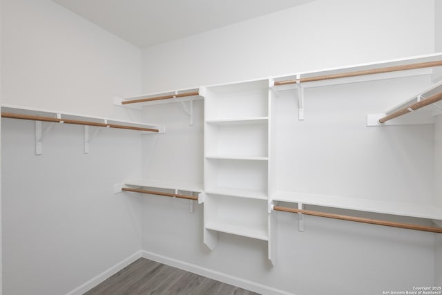 walk in closet featuring dark wood finished floors