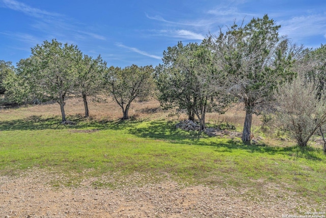 view of landscape