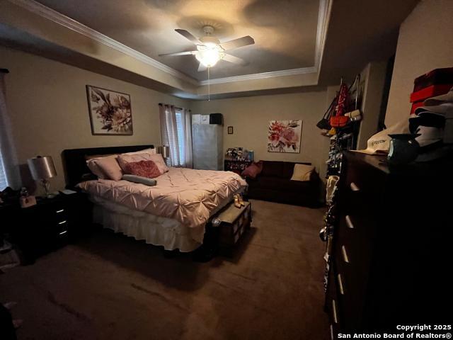 carpeted bedroom featuring ornamental molding, a raised ceiling, and a ceiling fan