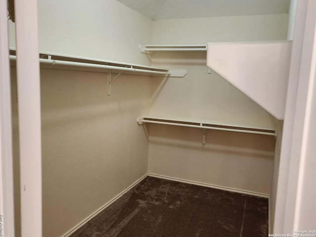 walk in closet featuring dark colored carpet