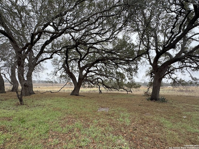 view of yard featuring a rural view