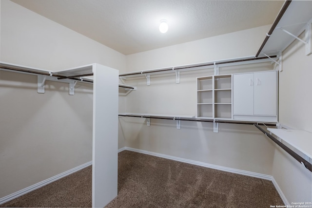 spacious closet featuring carpet floors