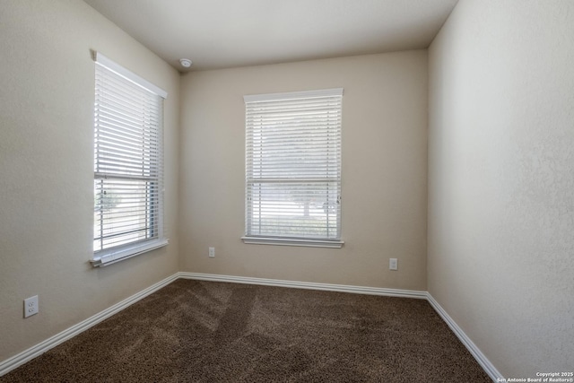 unfurnished room with baseboards, a wealth of natural light, and carpet flooring