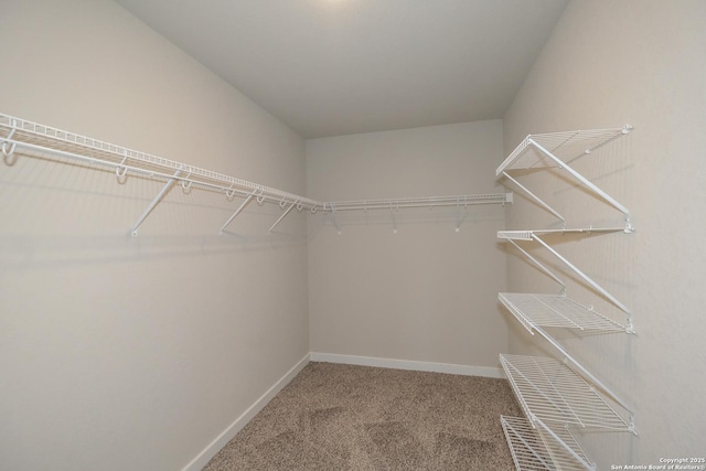 8421 Roadrunner Psge, San Antonio, TX 78222 - walk in closet with carpet floors