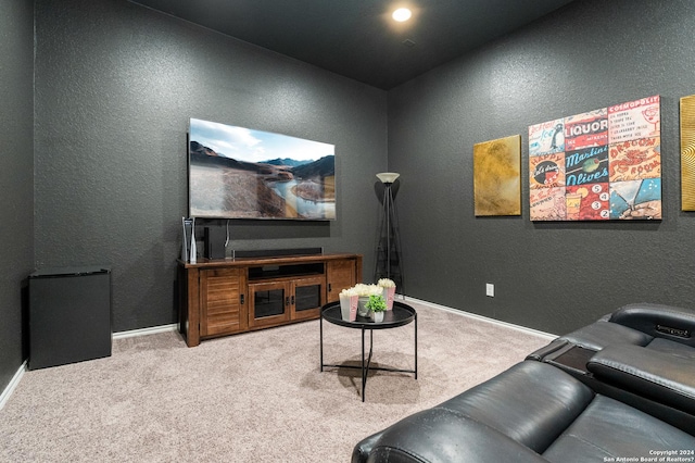 carpeted cinema room featuring baseboards and a textured wall