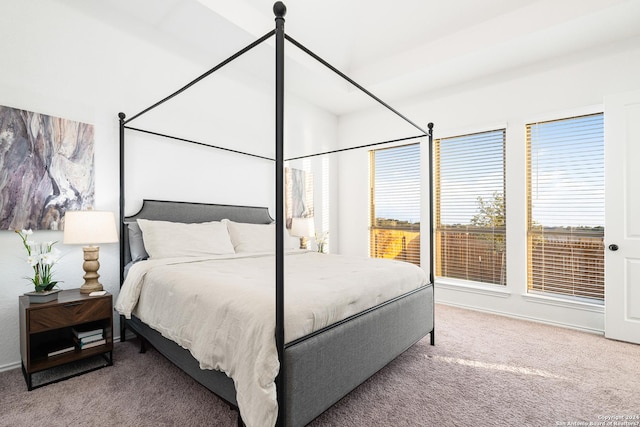 bedroom with carpet floors