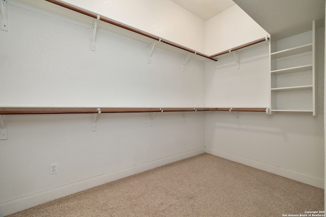 spacious closet featuring light carpet