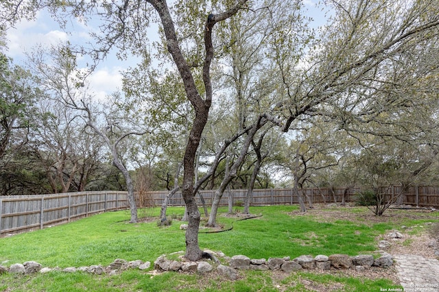 view of yard with a fenced backyard