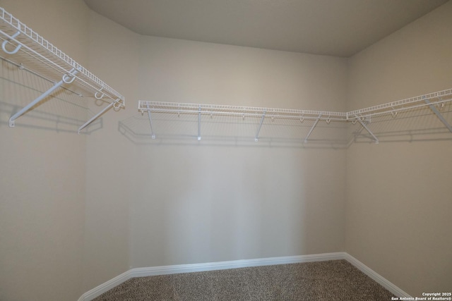 10314 Tule Creek Frk, San Antonio, TX 78252 - spacious closet with carpet floors