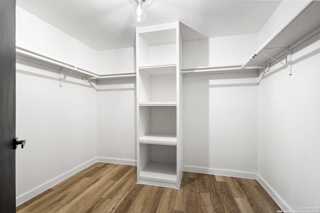 spacious closet featuring dark wood-style flooring