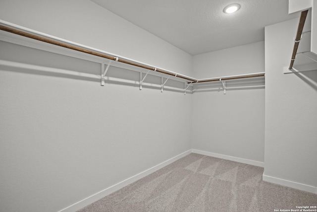 walk in closet with carpet