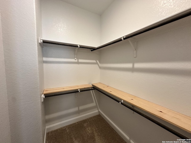 spacious closet with carpet floors