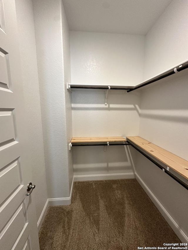 spacious closet featuring dark colored carpet