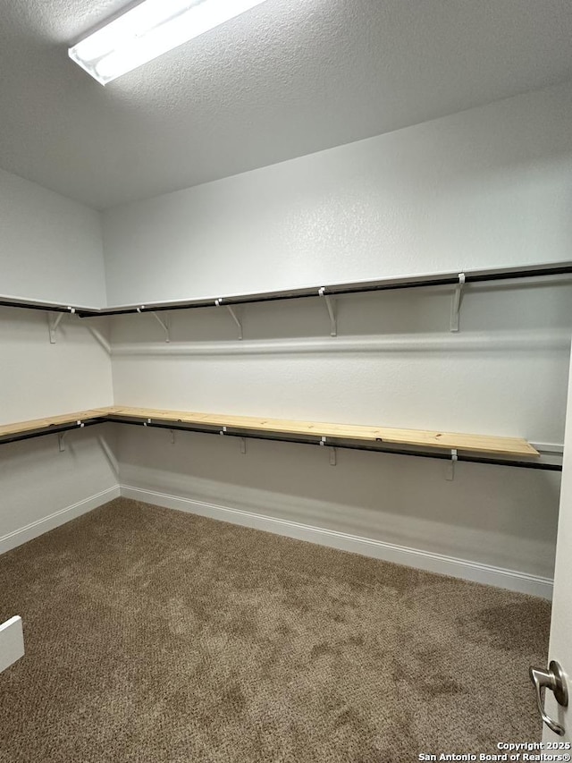 walk in closet featuring carpet floors