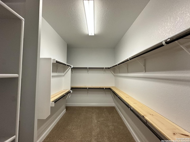 walk in closet featuring dark carpet