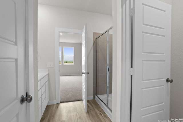 4338 Clarisse St, New Braunfels, TX 78130 - full bath with wood finished floors, a shower stall, vanity, and baseboards