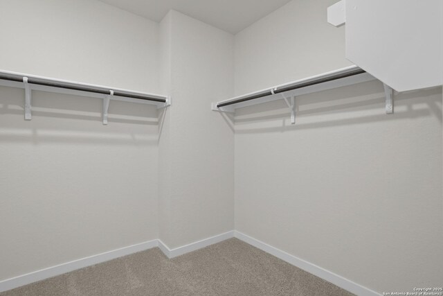 4338 Clarisse St, New Braunfels, TX 78130 - spacious closet featuring carpet floors