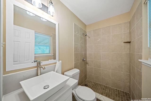 bathroom with toilet, tiled shower, and vanity