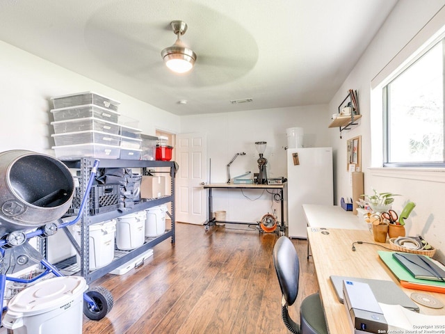 office featuring a ceiling fan, visible vents, and dark wood-type flooring